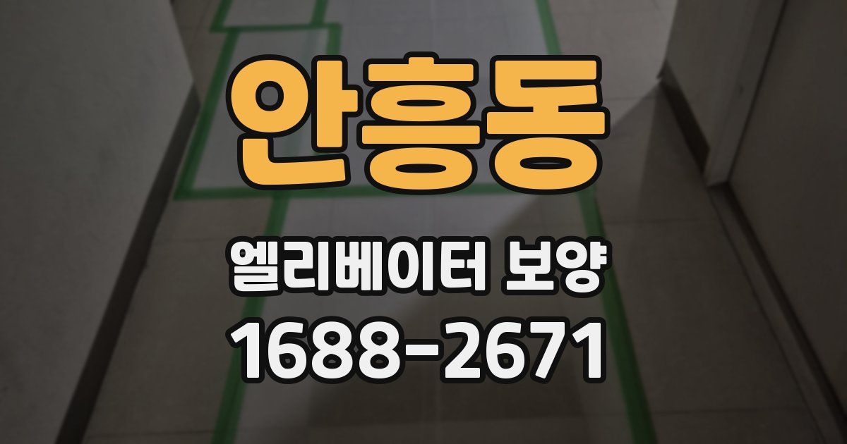 안흥동 엘리베이터 보양