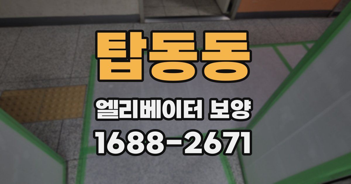 탑동동 엘리베이터 보양