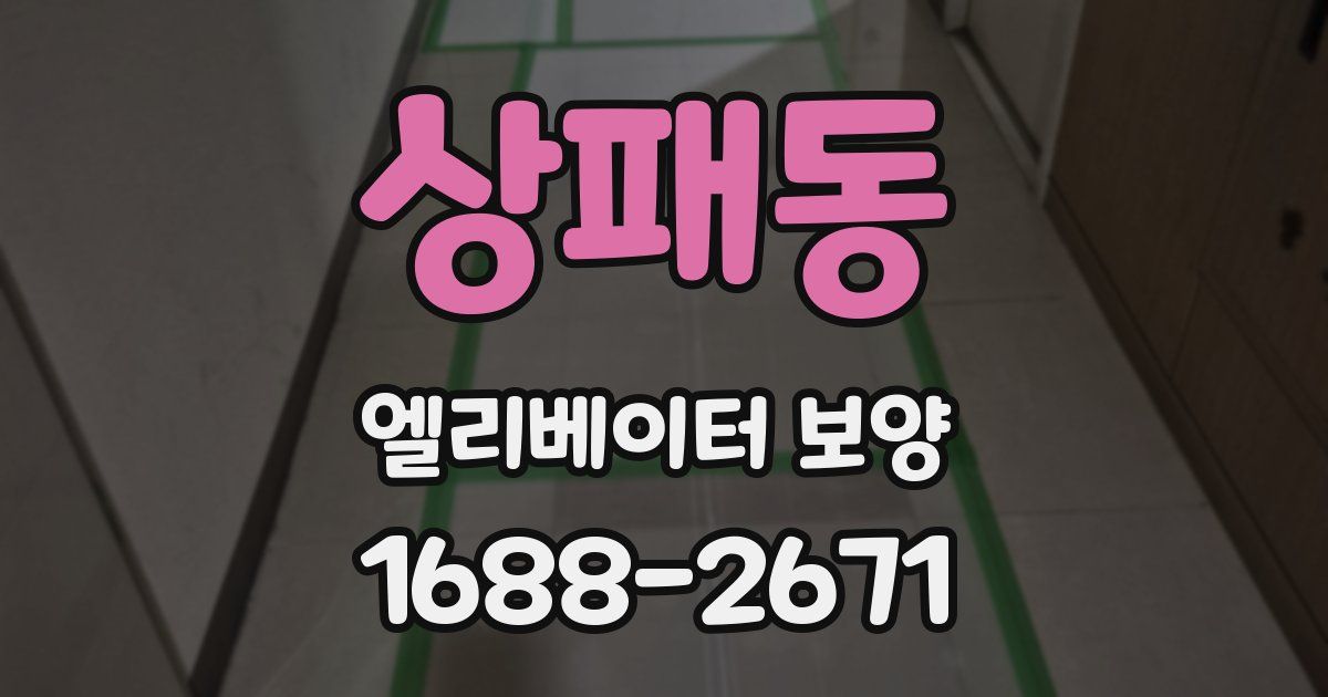 상패동 엘리베이터 보양
