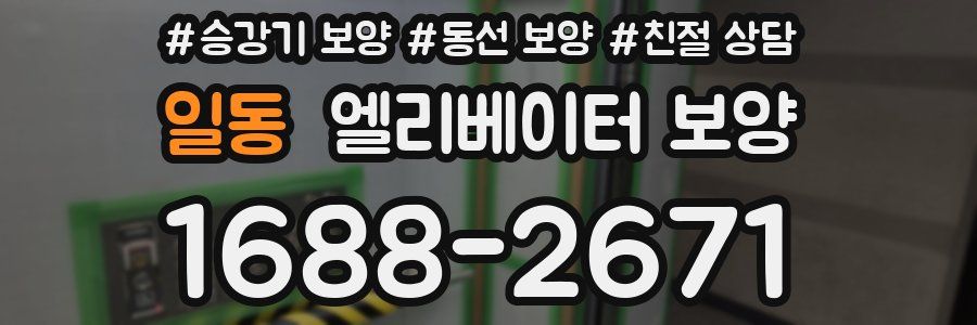 일동 엘리베이터 보양