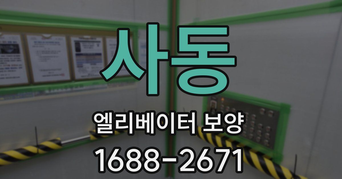 사동 엘리베이터 보양