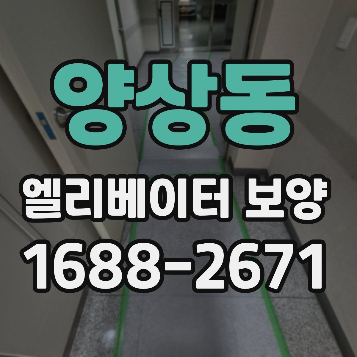 양상동 엘리베이터 보양 서비스 선택 전에 알아둘 점