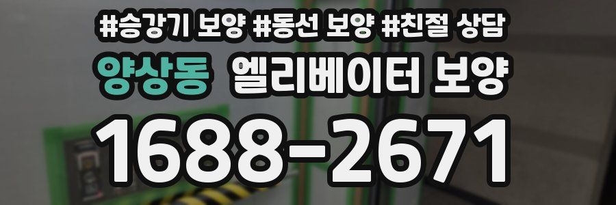 양상동 엘리베이터 보양