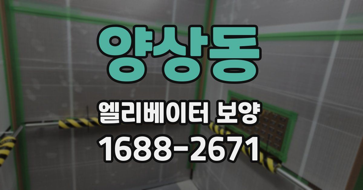 양상동 엘리베이터 보양