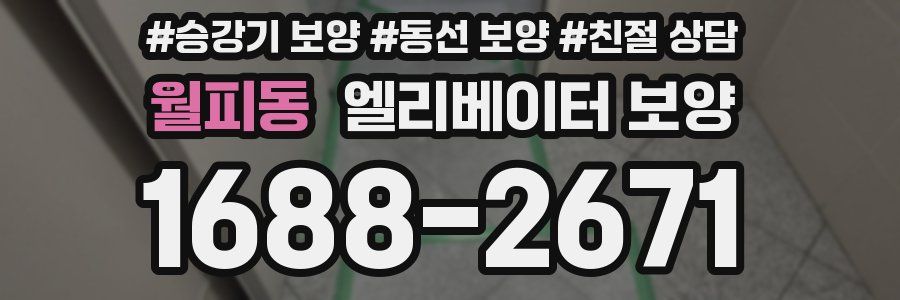 월피동 엘리베이터 보양