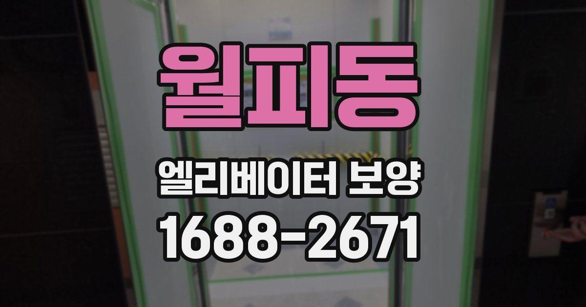 월피동 엘리베이터 보양