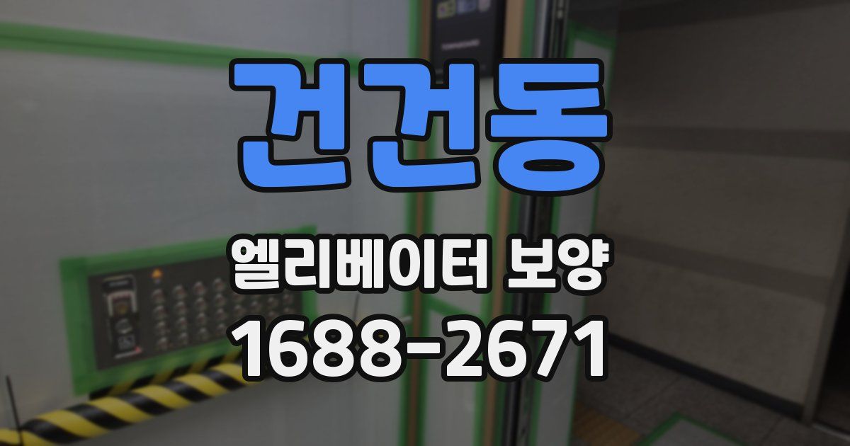 건건동 엘리베이터 보양