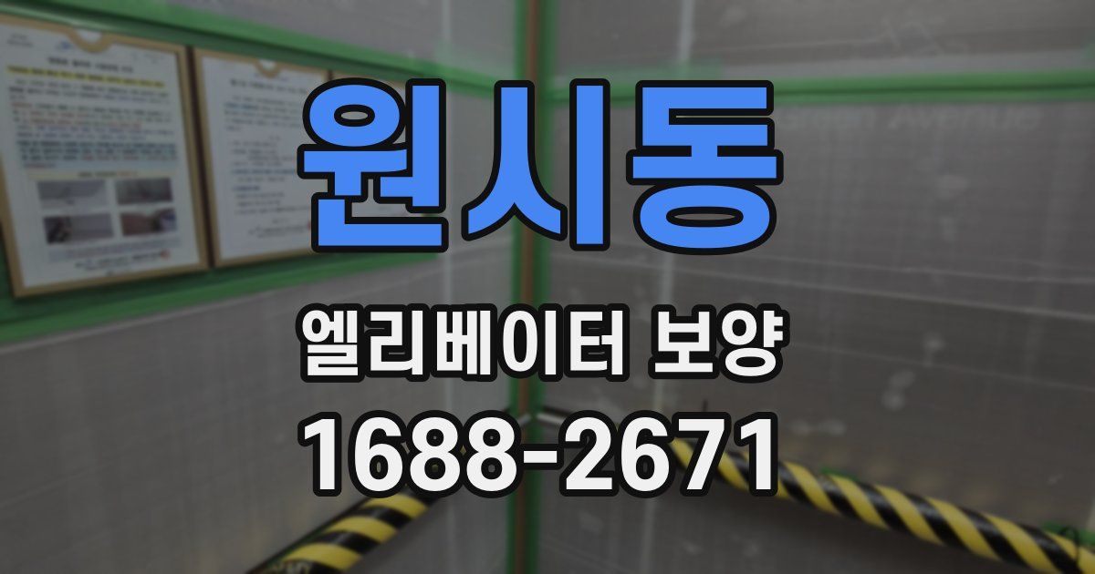 원시동 엘리베이터 보양