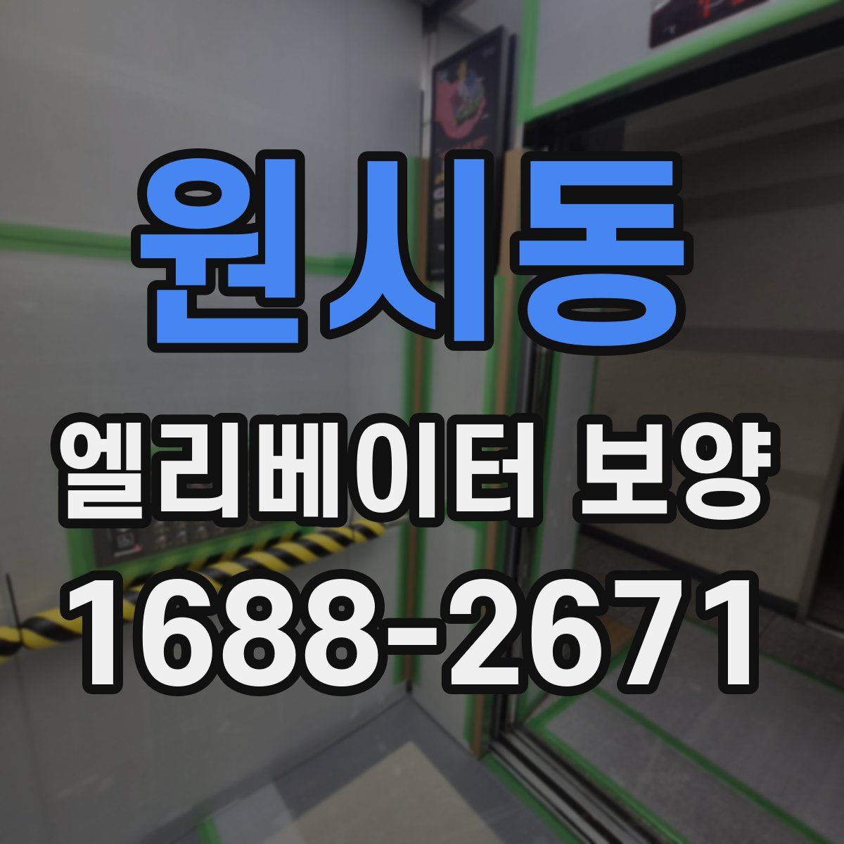원시동 엘리베이터 보양
