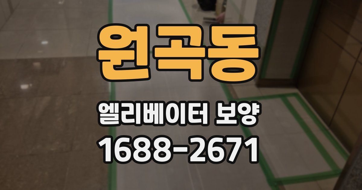 원곡동 엘리베이터 보양