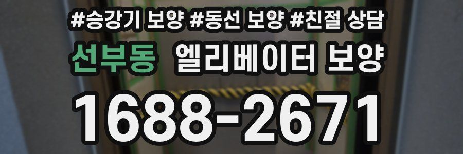 선부동 엘리베이터 보양