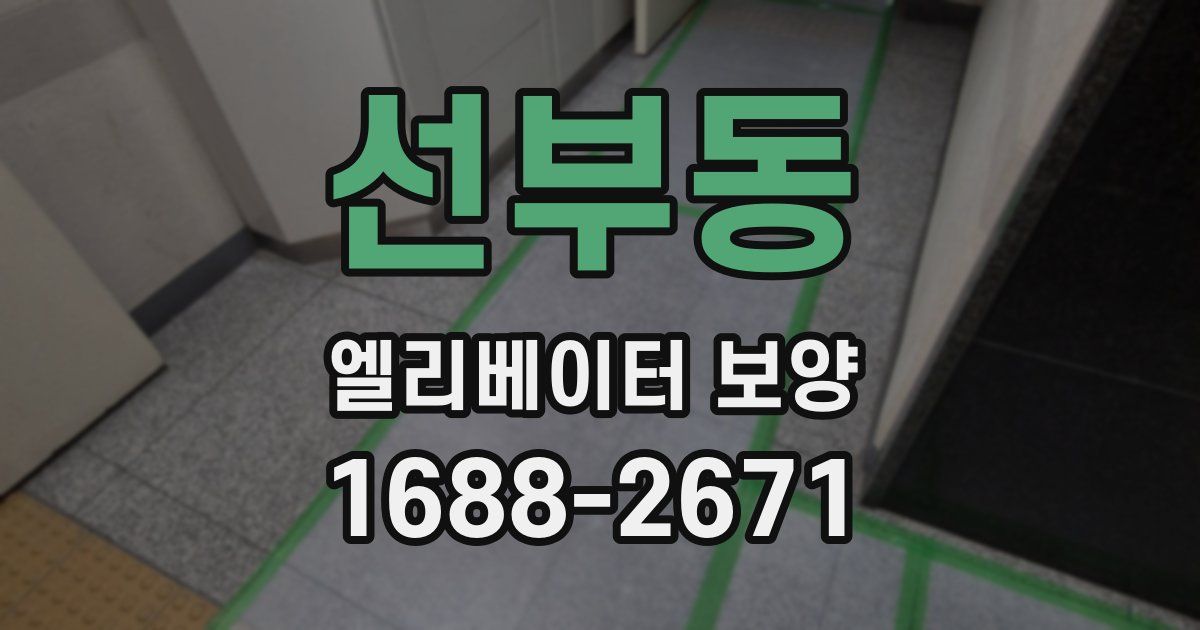 선부동 엘리베이터 보양