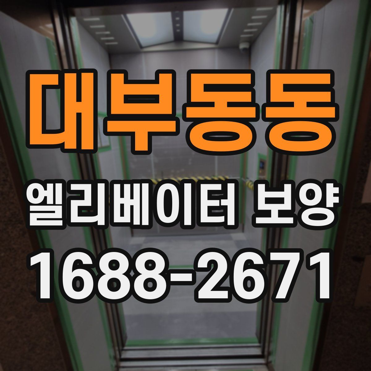 대부동동 엘리베이터 보양