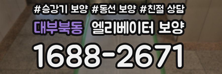 대부북동 엘리베이터 보양
