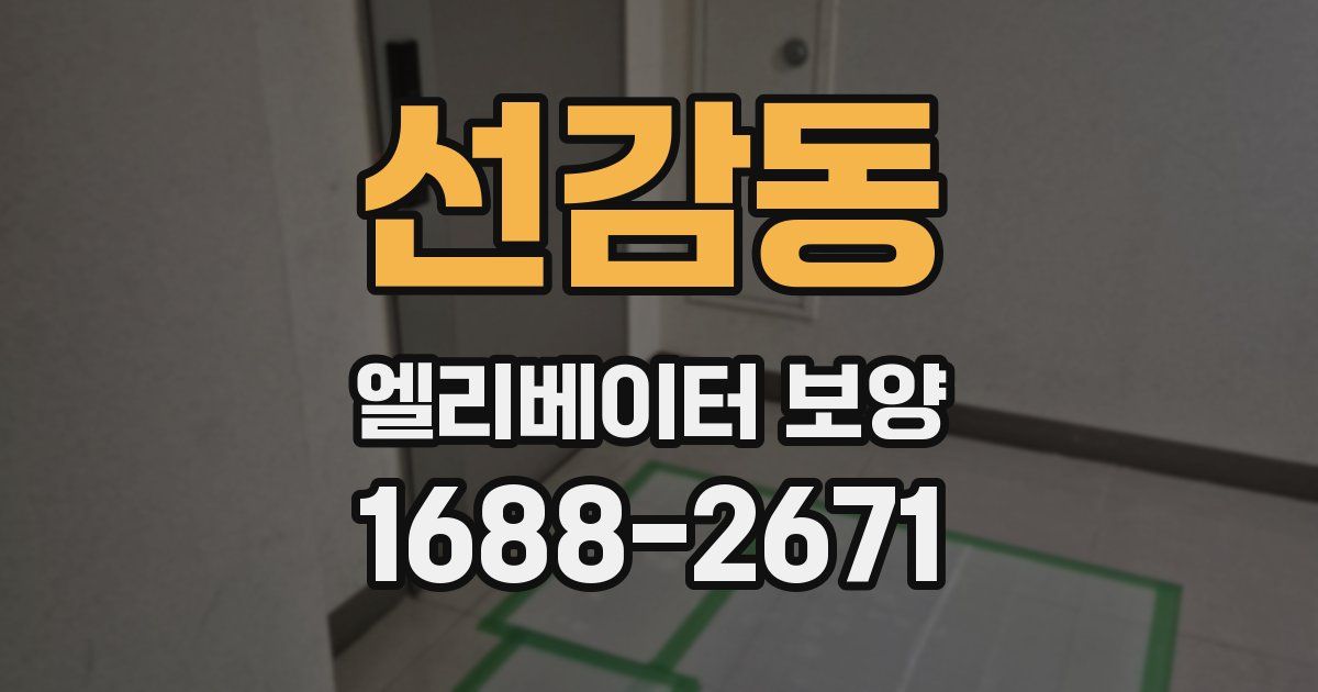 선감동 엘리베이터 보양