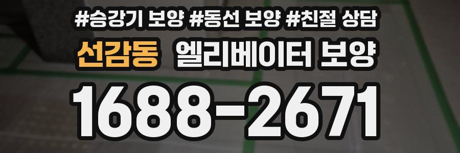 선감동 엘리베이터 보양
