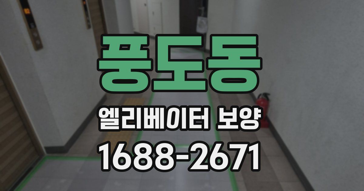 풍도동 엘리베이터 보양