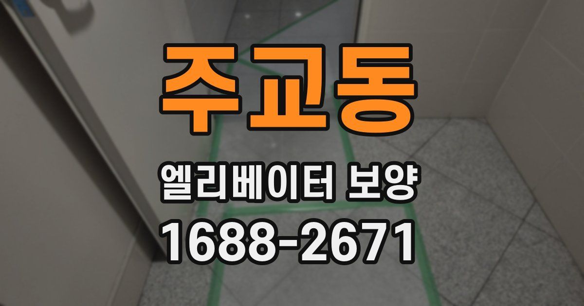 주교동 엘리베이터 보양