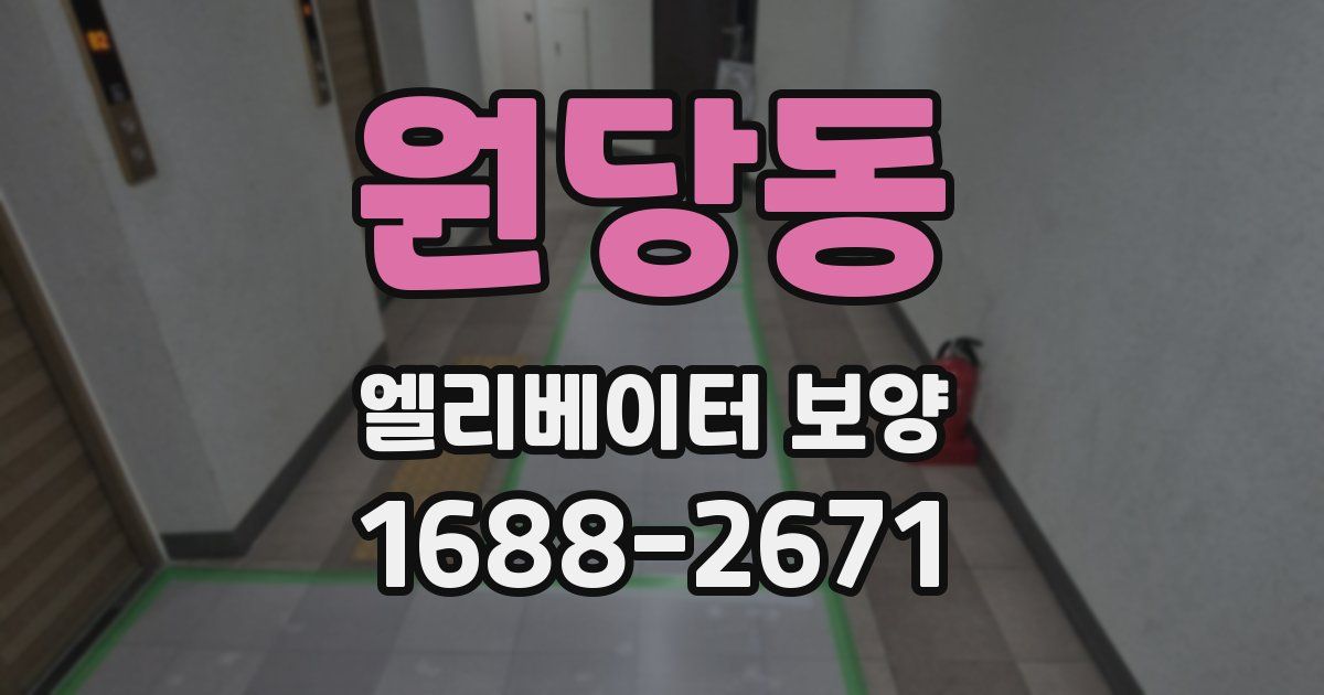 원당동 엘리베이터 보양
