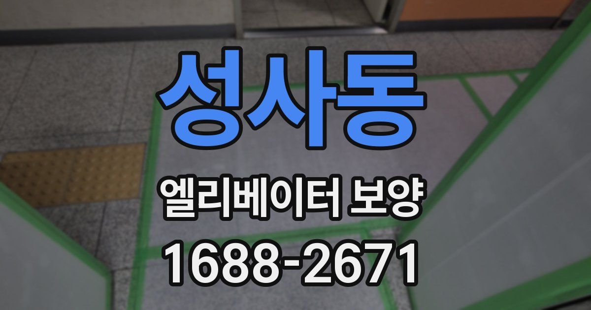 성사동 엘리베이터 보양