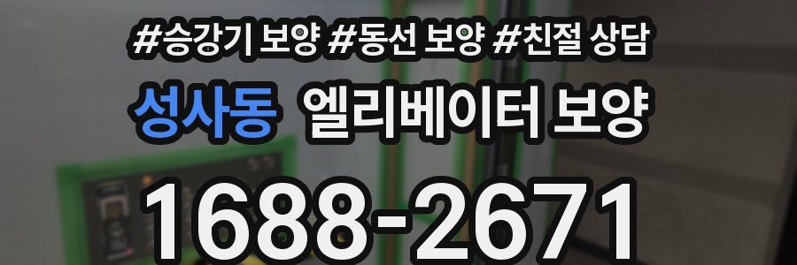 성사동 엘리베이터 보양