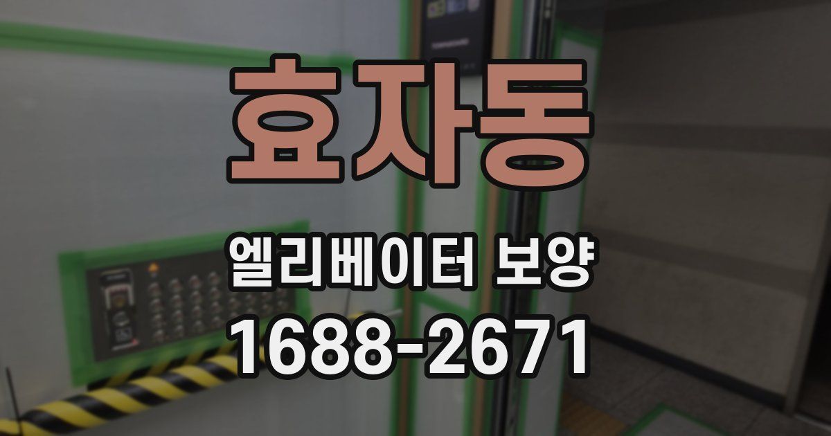 효자동 엘리베이터 보양