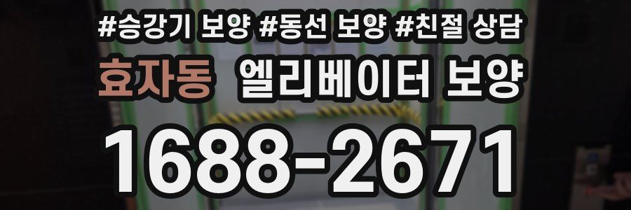 효자동 엘리베이터 보양