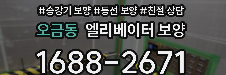 오금동 엘리베이터 보양