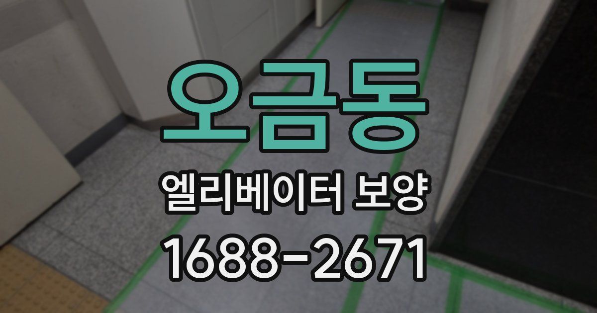 오금동 엘리베이터 보양