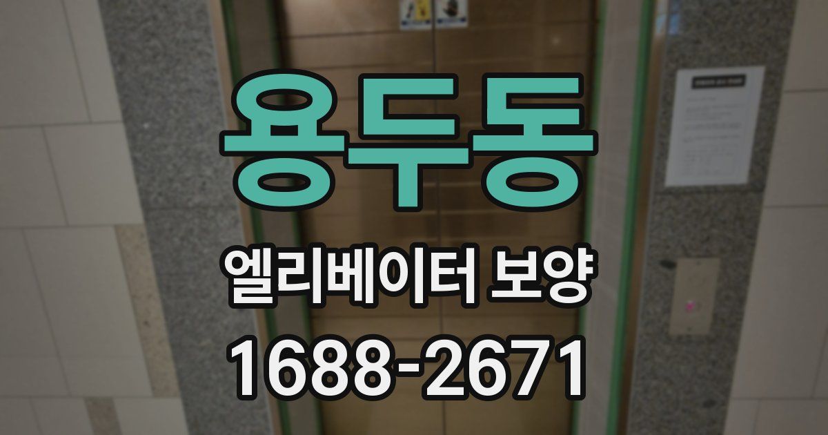 용두동 엘리베이터 보양