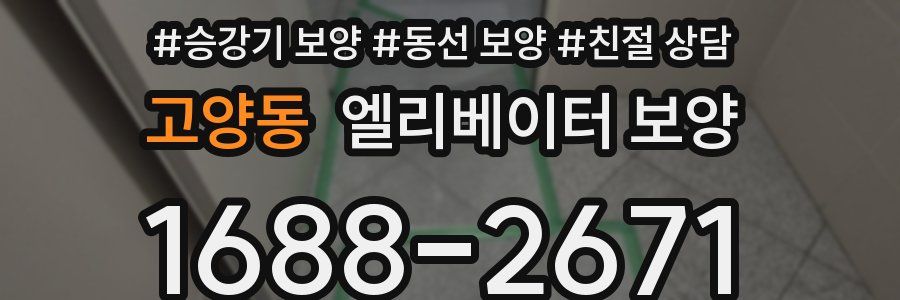 고양동 엘리베이터 보양