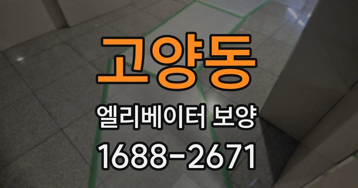 고양동 엘리베이터 보양
