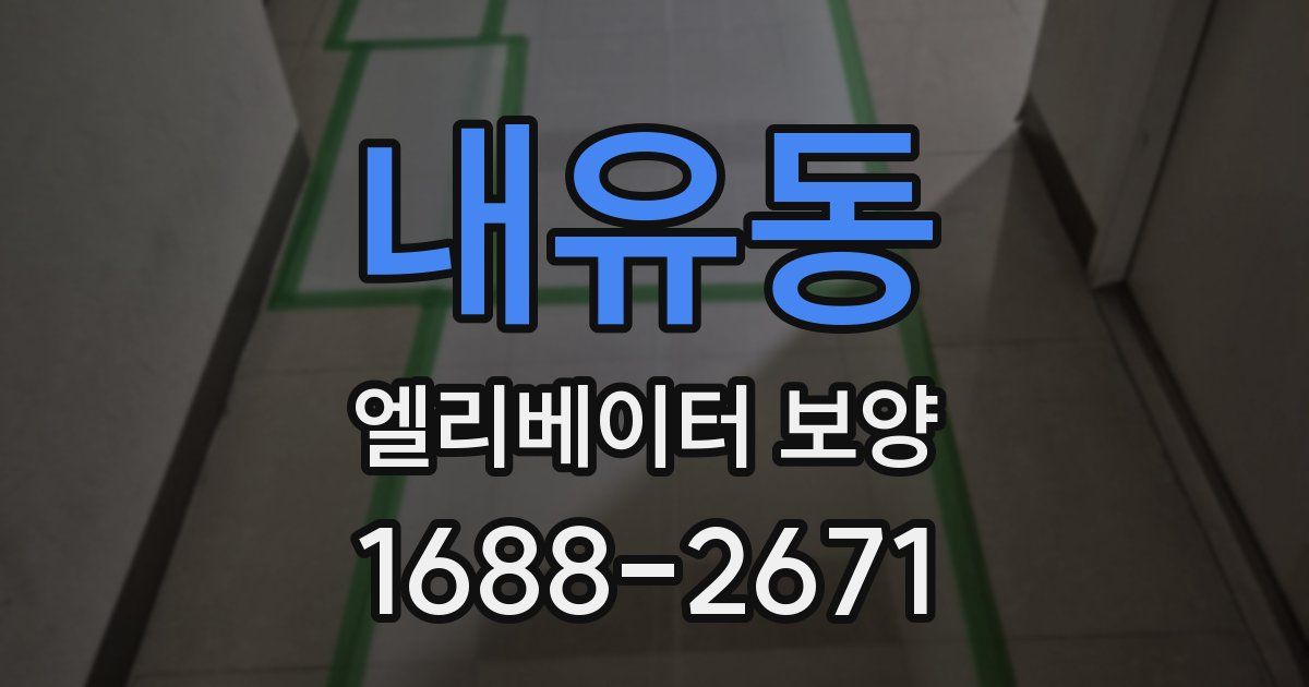 내유동 엘리베이터 보양