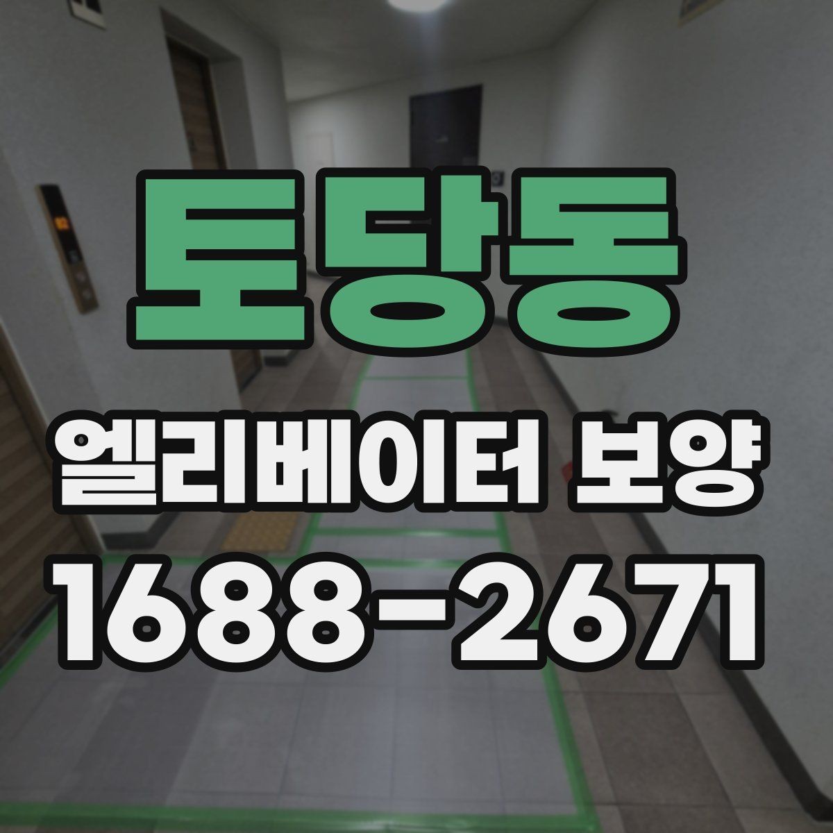 토당동 엘리베이터 보양 재료별 장단점 살펴보기