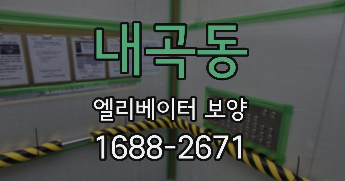 내곡동 엘리베이터 보양