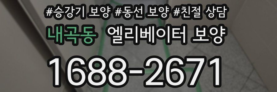 내곡동 엘리베이터 보양
