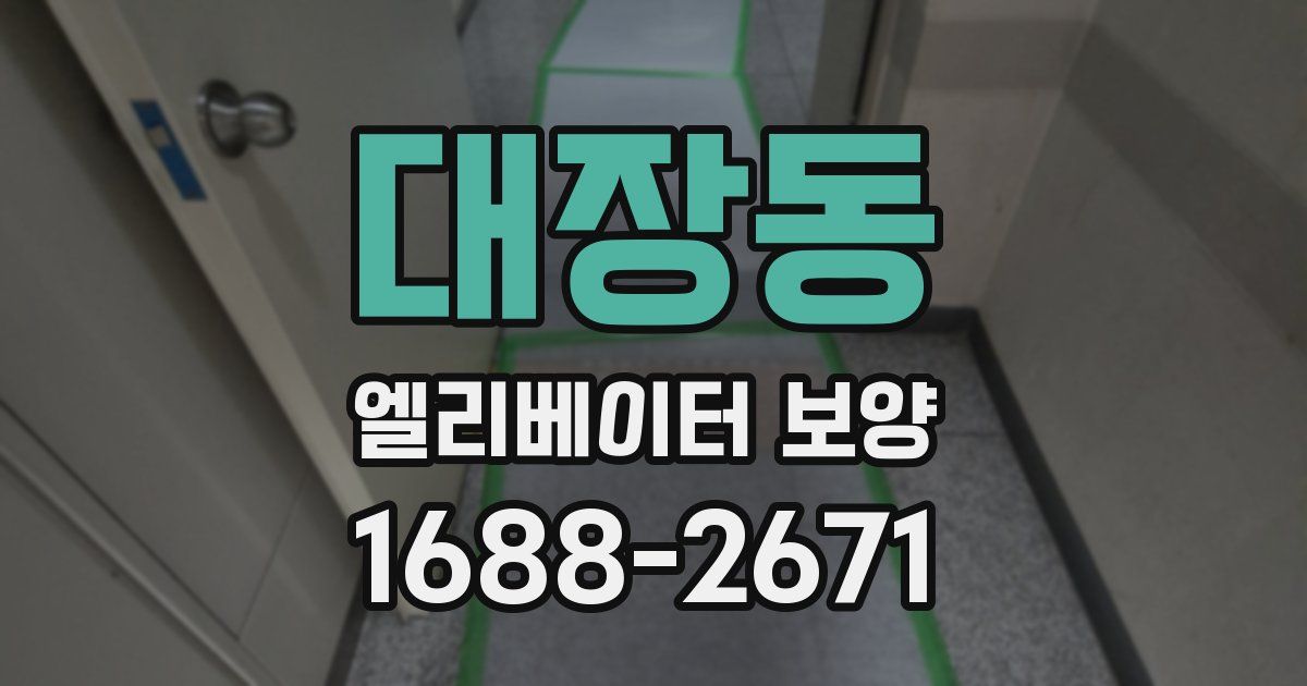 대장동 엘리베이터 보양