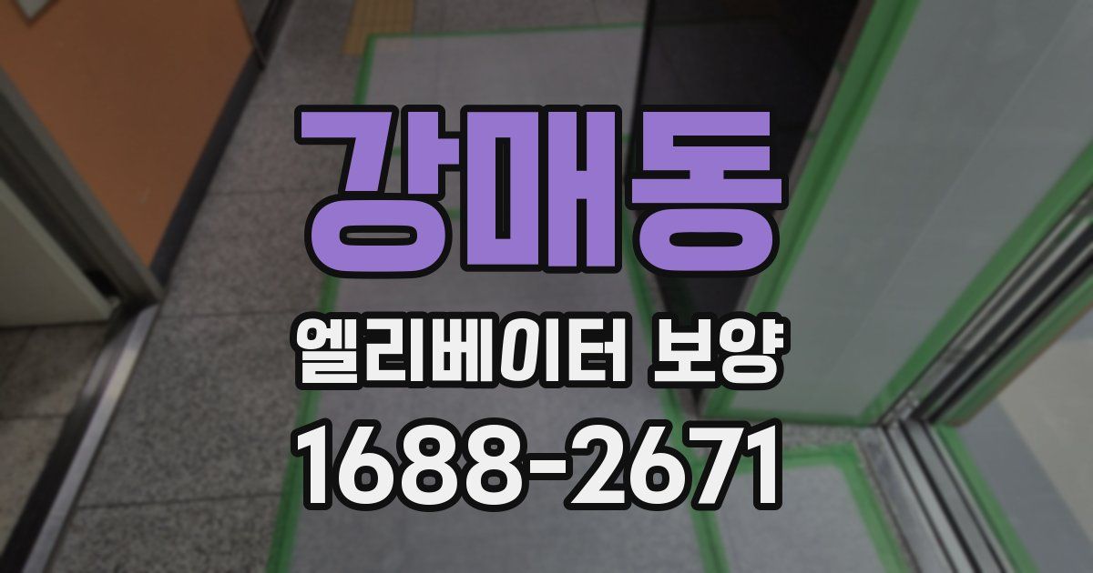 강매동 엘리베이터 보양