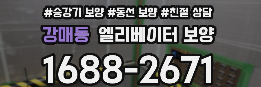 강매동 엘리베이터 보양
