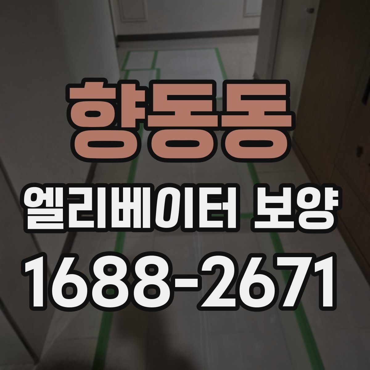 향동동 엘리베이터 보양 견적 비교할 때 보는 항목