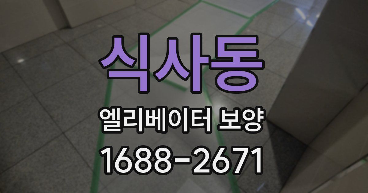 식사동 엘리베이터 보양