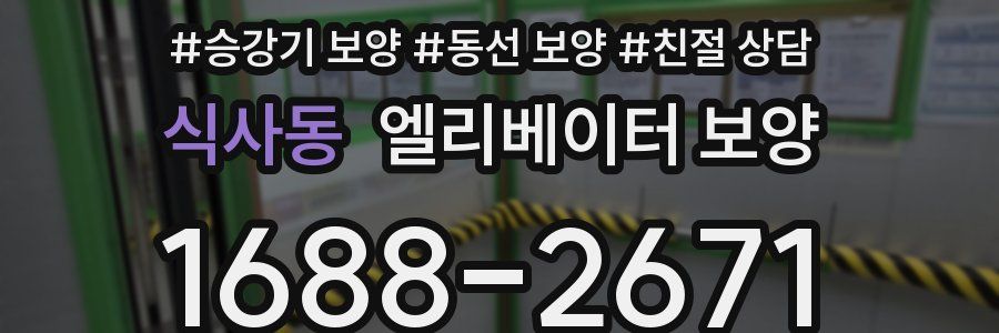 식사동 엘리베이터 보양
