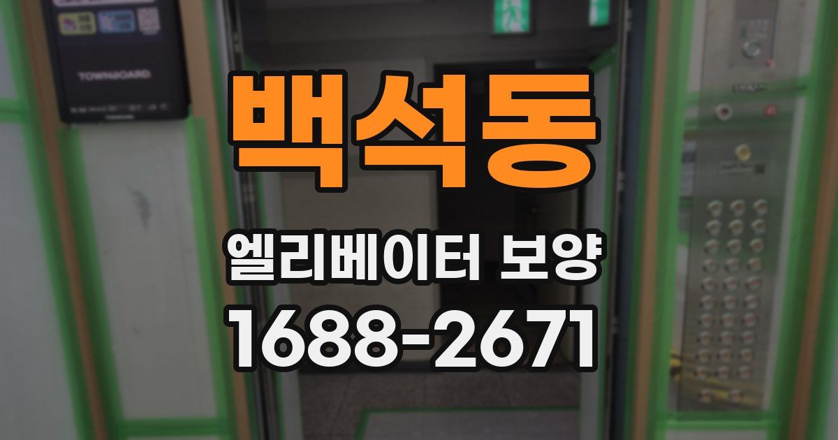 백석동 엘리베이터 보양