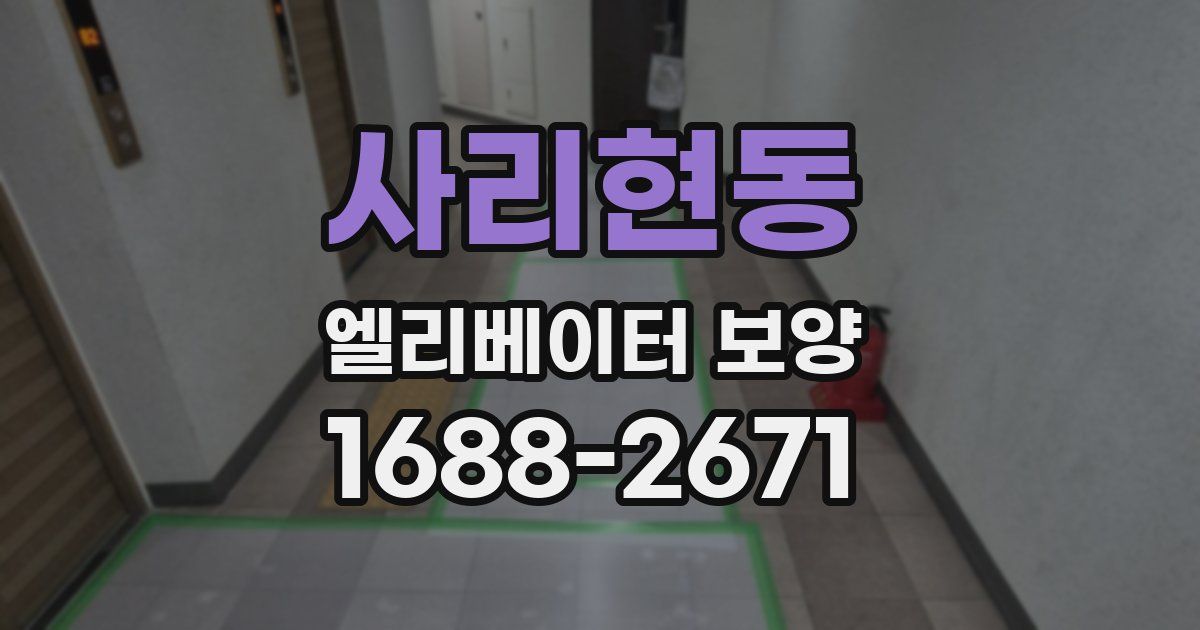 사리현동 엘리베이터 보양