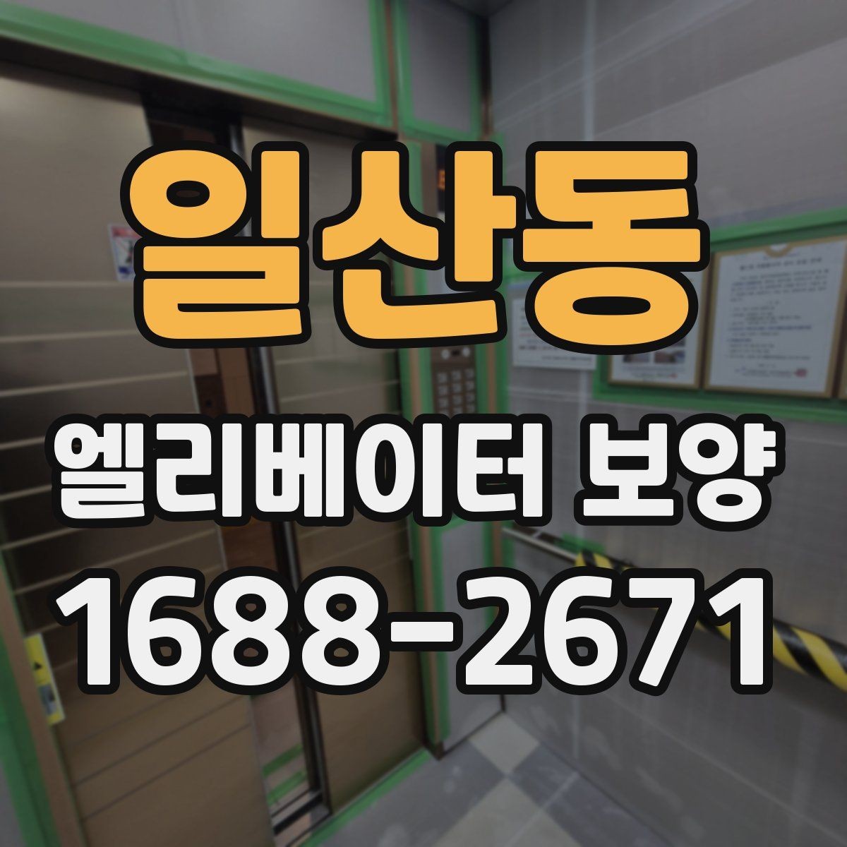 일산동 엘리베이터 보양 종류별 특징과 활용 상황