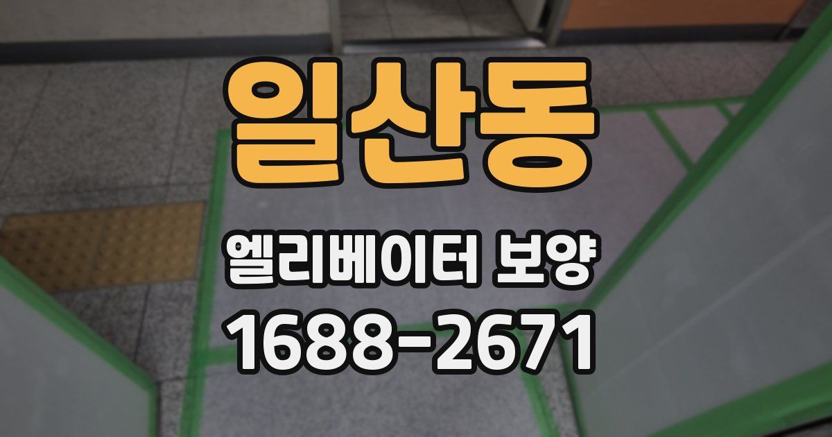 일산동 엘리베이터 보양