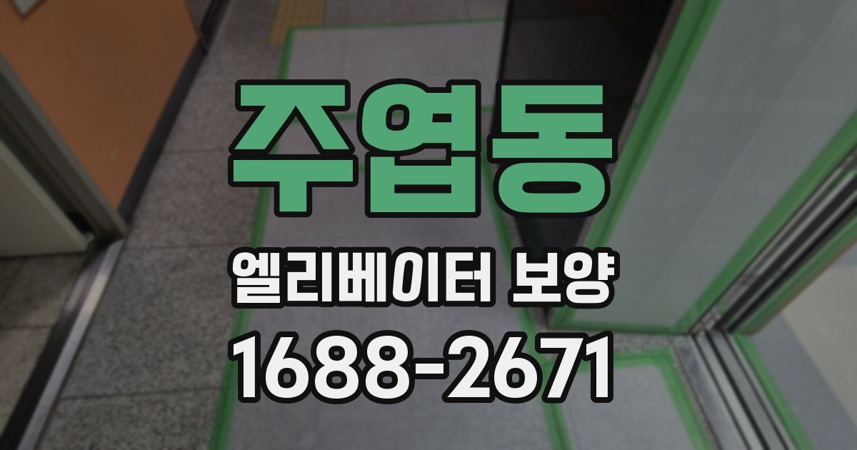 주엽동 엘리베이터 보양