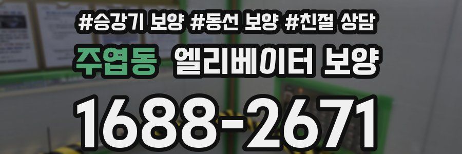 주엽동 엘리베이터 보양