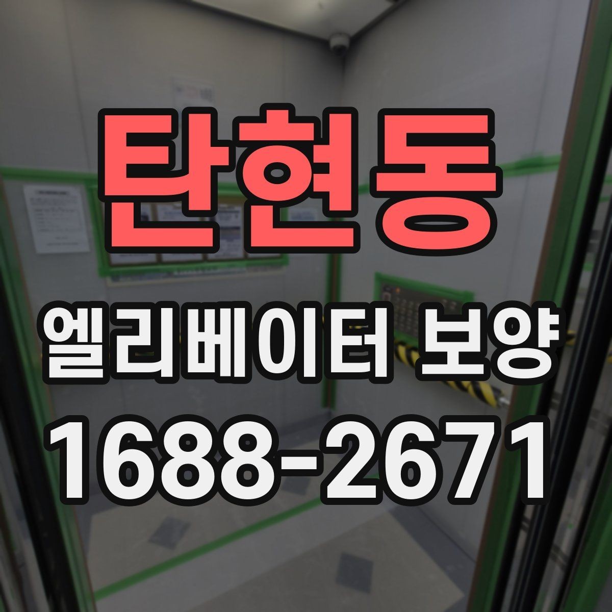탄현동 엘리베이터 보양 재료별 장단점 간단 비교