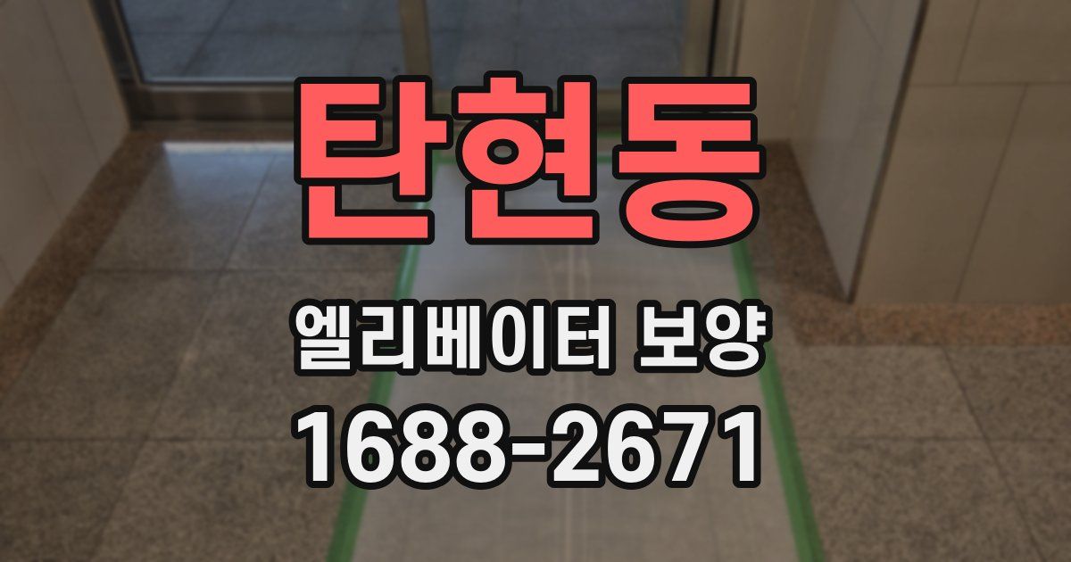 탄현동 엘리베이터 보양